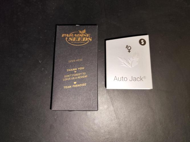 Auto Jack  von Paradise Seeds. Week 0