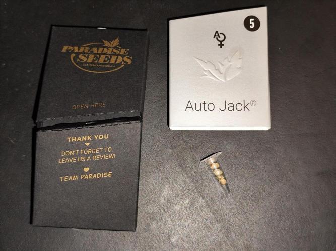 Auto Jack  von Paradise Seeds. Week 0