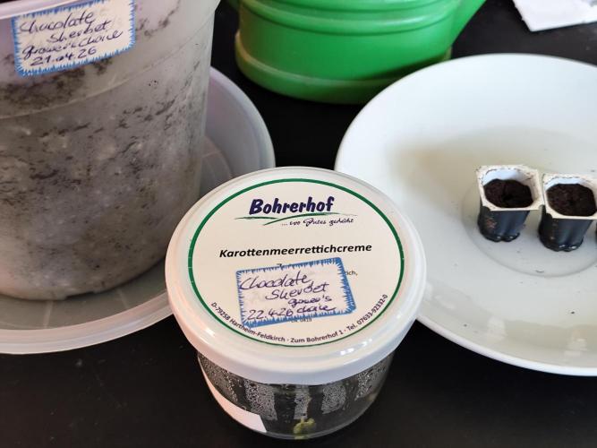 Greenhouse Summer Outdoor Grow 2026. Week 0 - Tag 3