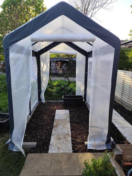 Greenhouse Summer Outdoor Grow 2026. Week 0 - Greenhouse