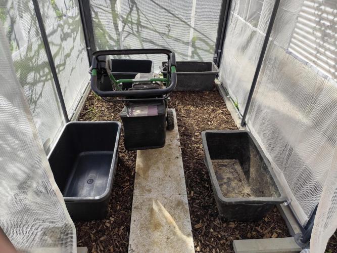Greenhouse Summer Outdoor Grow 2026. Week 1