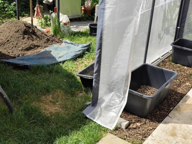 Greenhouse Summer Outdoor Grow 2026. Week 1 - Tag 10