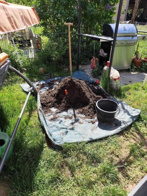 Greenhouse Summer Outdoor Grow 2026. Week 1