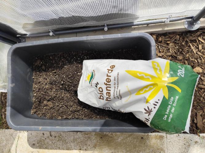 Greenhouse Summer Outdoor Grow 2026. Week 1