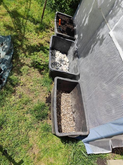 Greenhouse Summer Outdoor Grow 2026. Week 4 - Tag 28