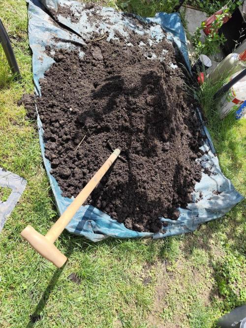 Greenhouse Summer Outdoor Grow 2026. Week 4 - Für die Aussenbottiche
