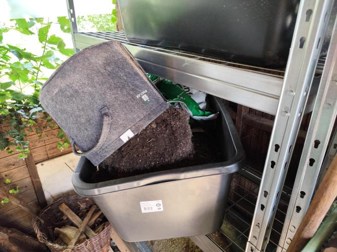 Greenhouse Summer Outdoor Grow 2026. Week 10 - Tag 76