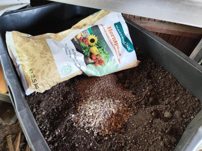 Greenhouse Summer Outdoor Grow 2026. Week 10