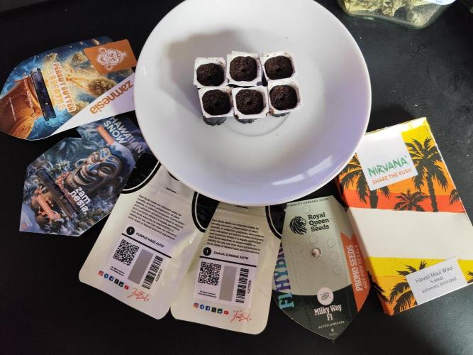 Schokoladendampf 🍫💨​. Week 0