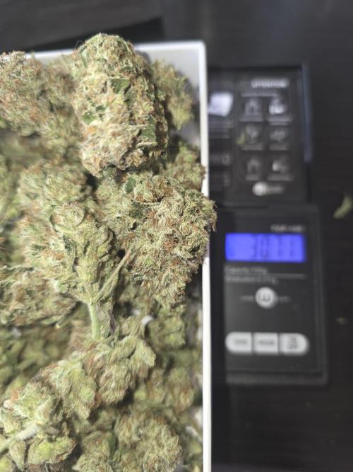 Frost banger. 1st diary. Week 9