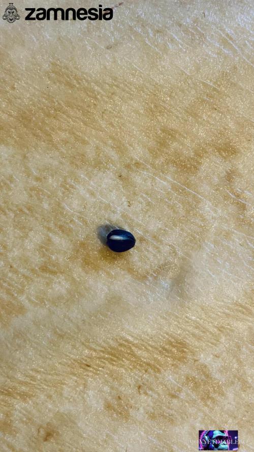 Tropicana Cookies  🍓🍍🍊🍒. Week 0