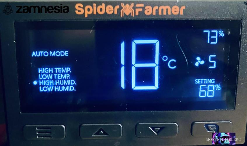 Tropicana Cookies  🍓🍍🍊🍒🍪. Week 14