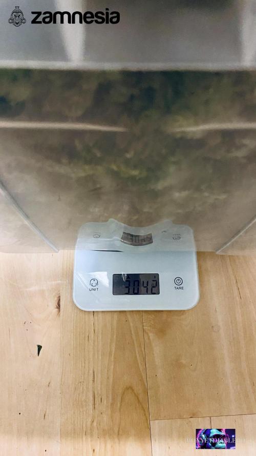 Tropicana Cookies  🍓🍍🍊🍒🍪. Week 14