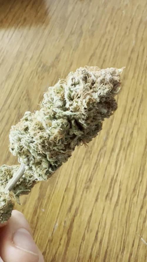 Lemon Cherry Gelato