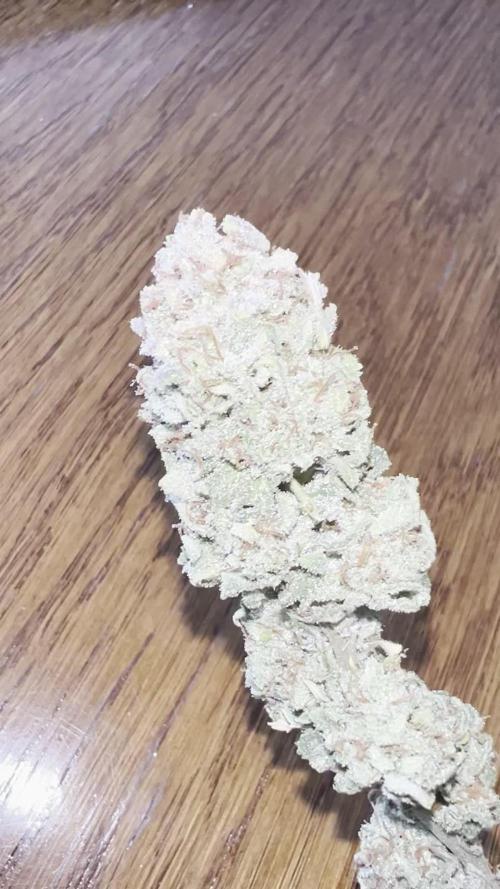 Lemon Cherry Gelato