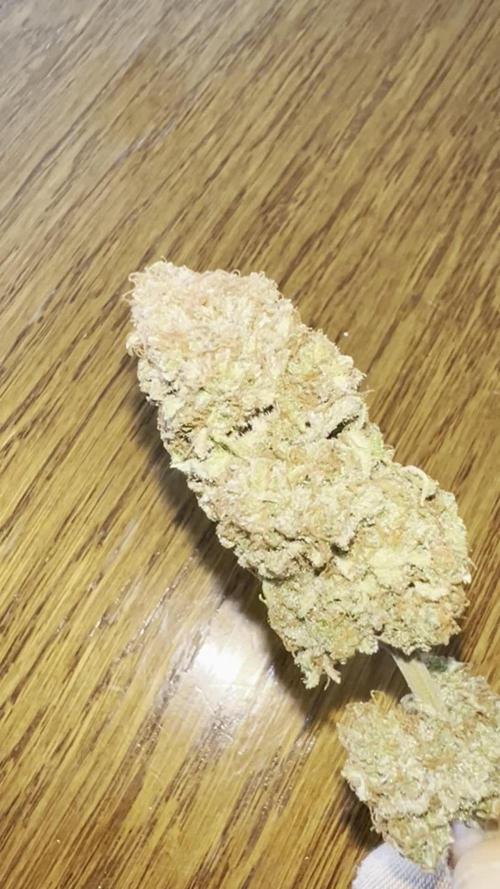 Lemon Cherry Gelato
