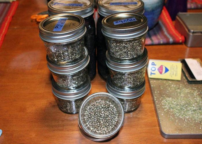 Under The Wild LED Sky 06. Week 20