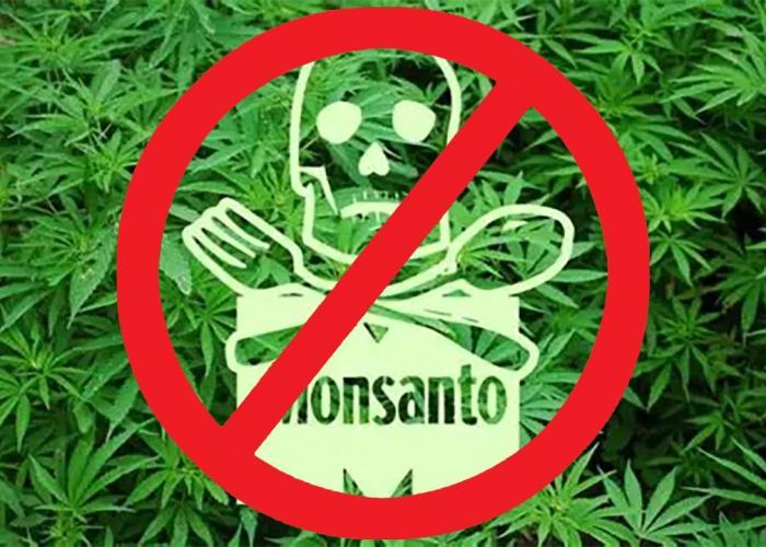 Under The Wild LED Sky 06. Week 20