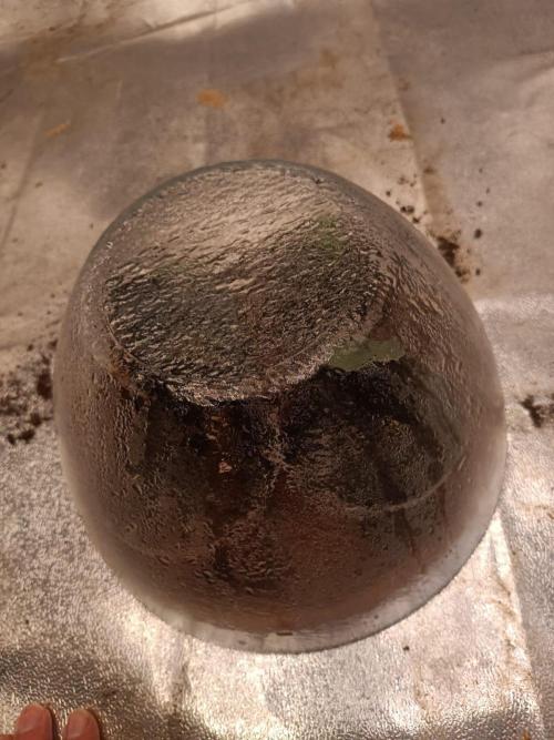 Blue Sunset Sherbert. Week 0