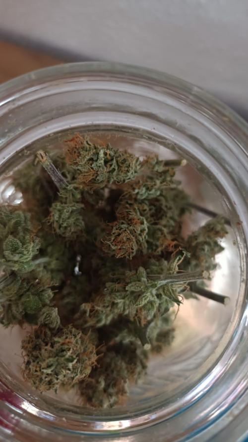 Blue Sunset Sherbert. Week 14