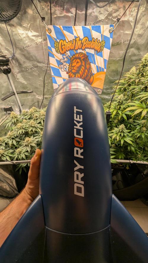 First Mineral Grow. Week 13 - 17.12.2026-BT45