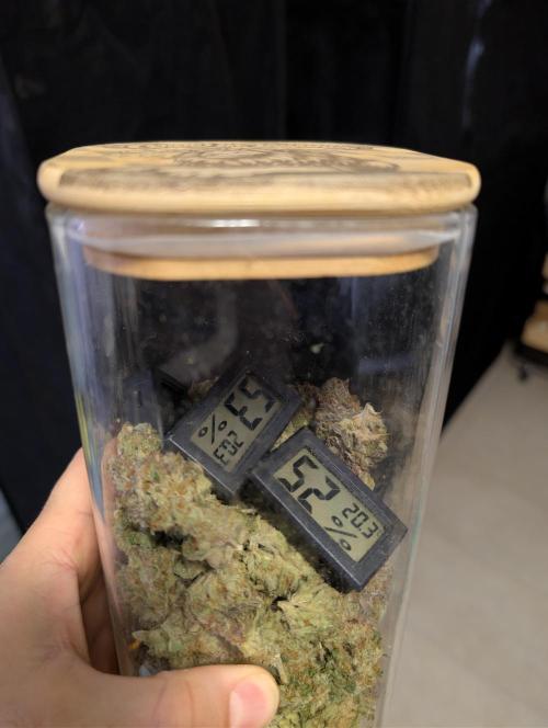 First Mineral Grow. Week 16