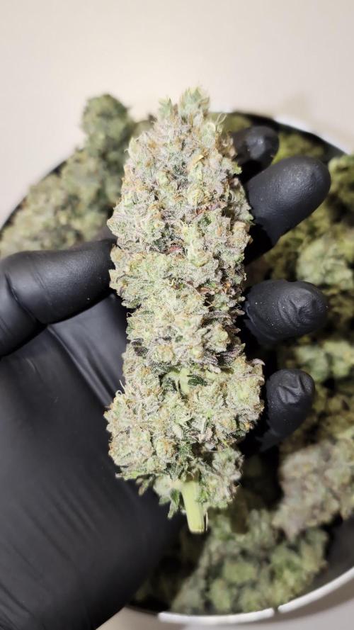 First Mineral Grow