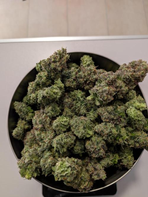 First Mineral Grow. Week 17 - 16.01.2026- BT 75