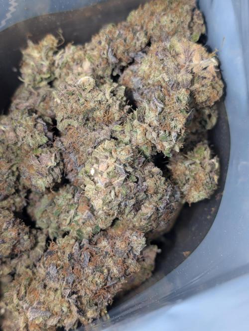 First Mineral Grow. Week 17