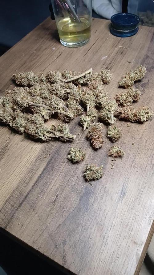 #5. Frostbanger Fast Buds