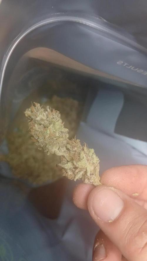 #8. Apple Strudel  Fast Buds