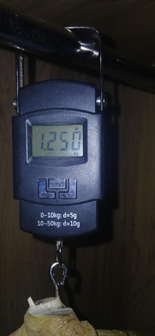 #10. Gorilla Runtz Seedsman. Week 15