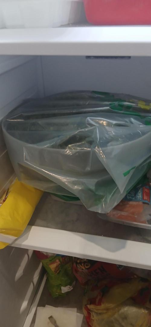 #6. Z-up Fast Buds ts600 DWC. Week 13