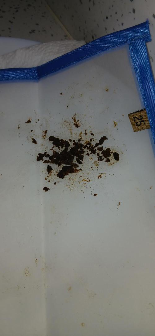 #6. Z-up Fast Buds ts600 DWC. Week 13