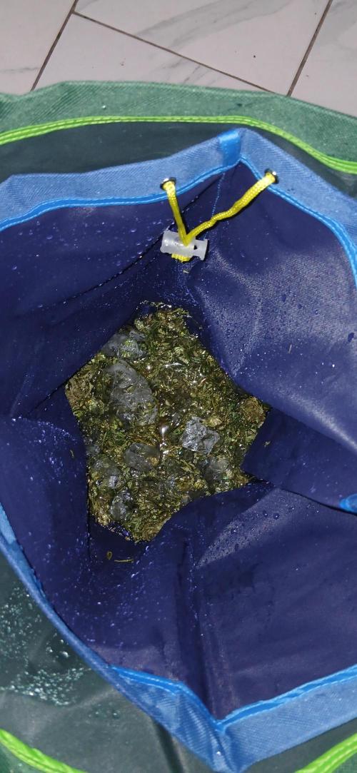 #6. Z-up Fast Buds ts600 DWC. Week 13