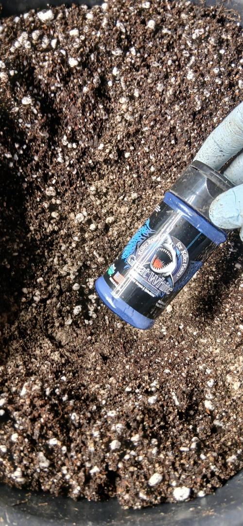 #12Cheese Run. Week 10