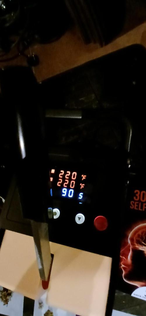 #10. Gorilla Runtz Seedsman. Week 16