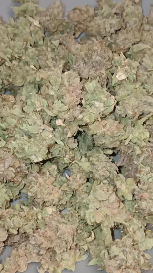 Chem cookies seedsman