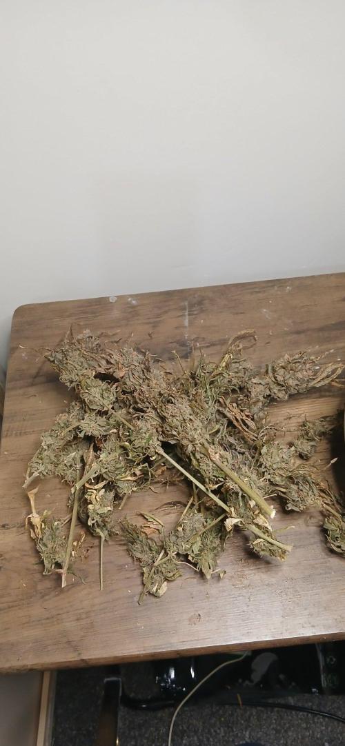 Frost Banger 2. Week 11