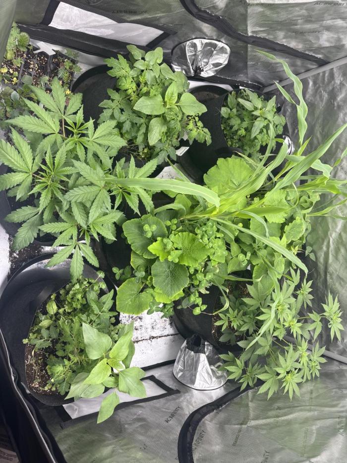 Spring ‘26. Week 6