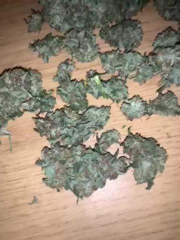 Wow en kush😊❤️😇😳👌💪👌😶‍🌫️🤗