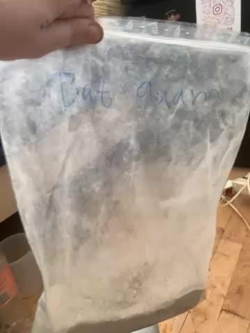 Full gas from the best of all THE KING OFF WEED