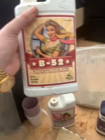 Full gas from the best of all THE KING OFF WEED