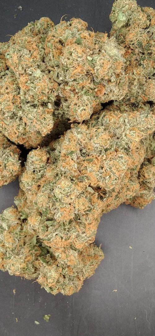 FORZAR2.1/RICHSANFARMORGANIC.TH. Week 8