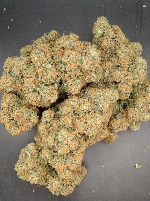 FORZAR2.1/RICHSANFARMORGANIC.TH. Week 8