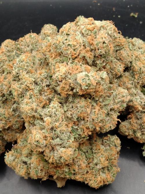 FORZAR2.1/RICHSANFARMORGANIC.TH. Week 8