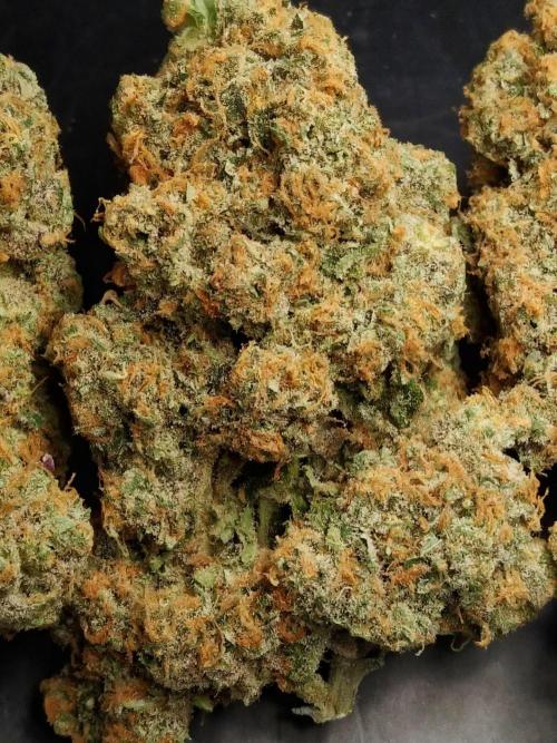 FORZAR2.1/RICHSANFARMORGANIC.TH. Week 8