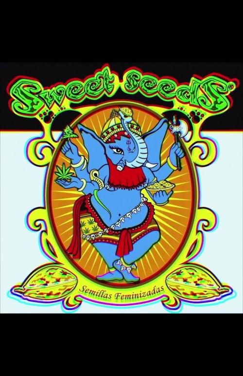 SWEET SEEDS new Strain
