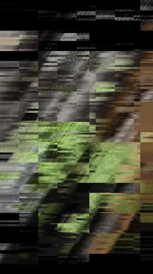 ZAMNESIA BUDDA! PROJEKT !