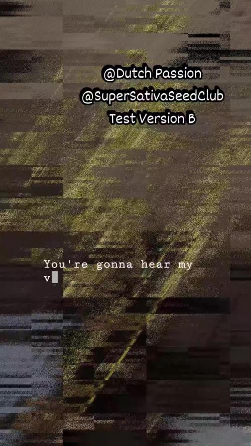 SSSC TEST B